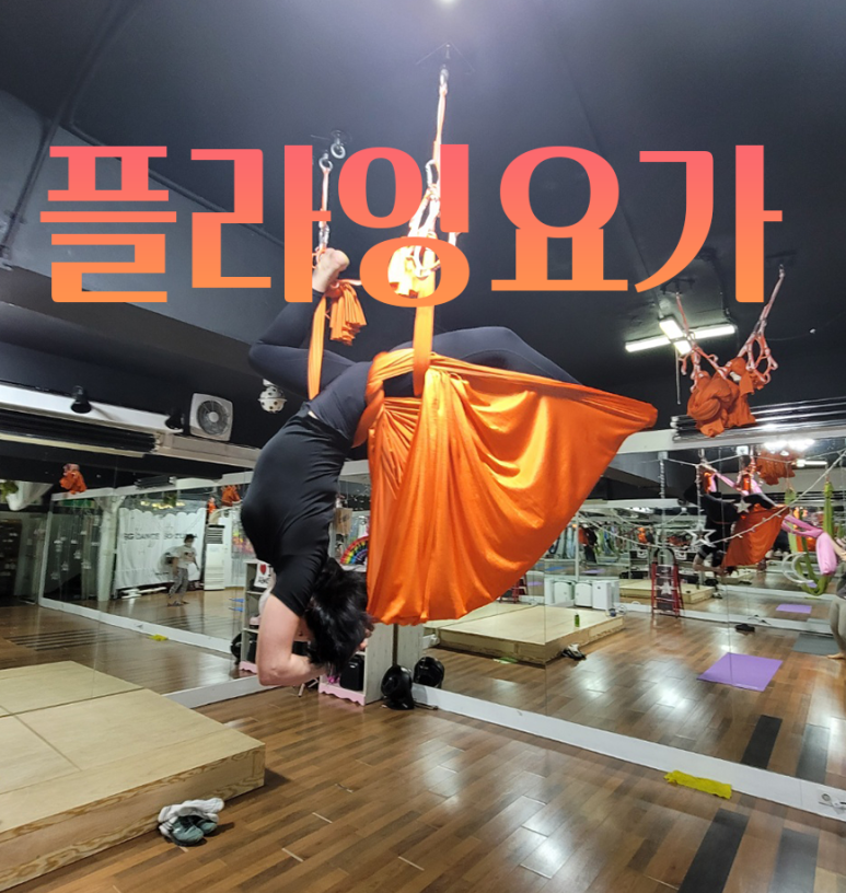 빽곰댄스 이미지