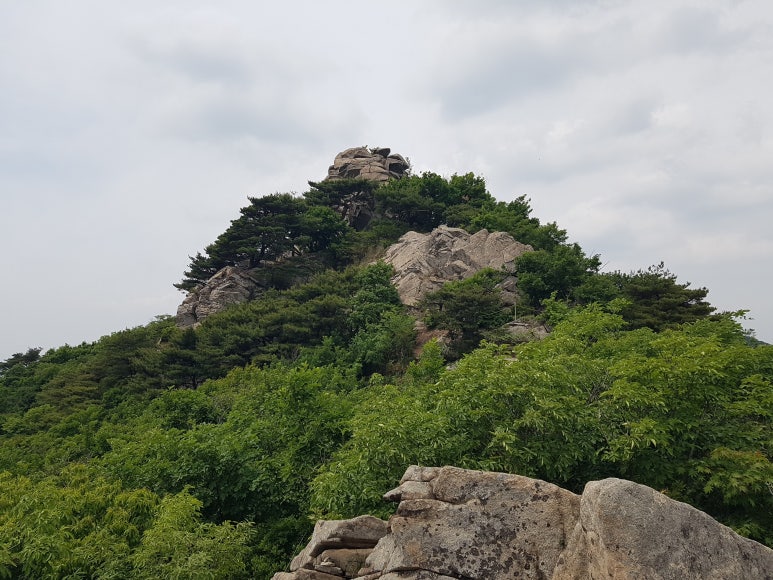 내포물산 이미지