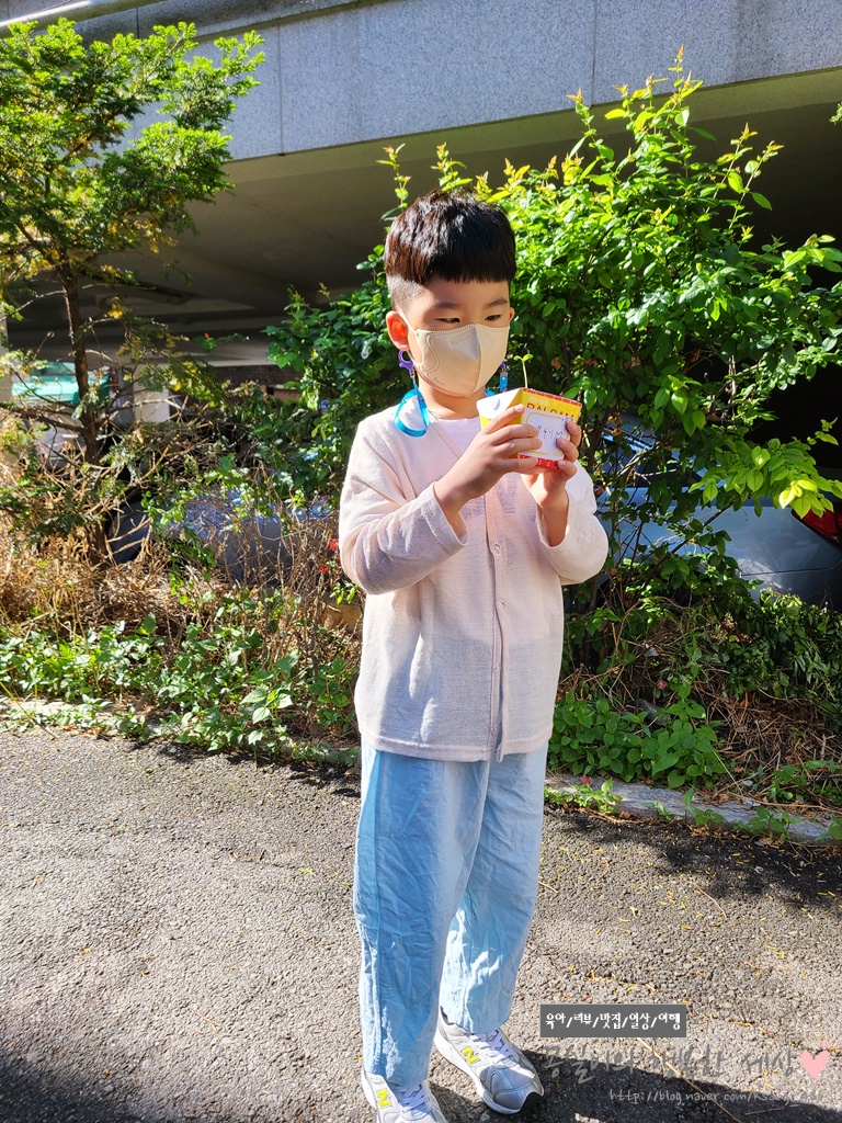 바이킹마트 이미지