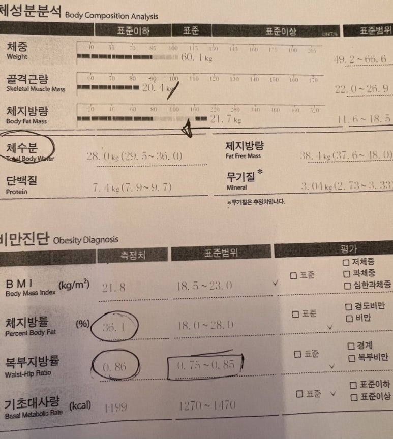 시크릿피티스튜디오 이미지