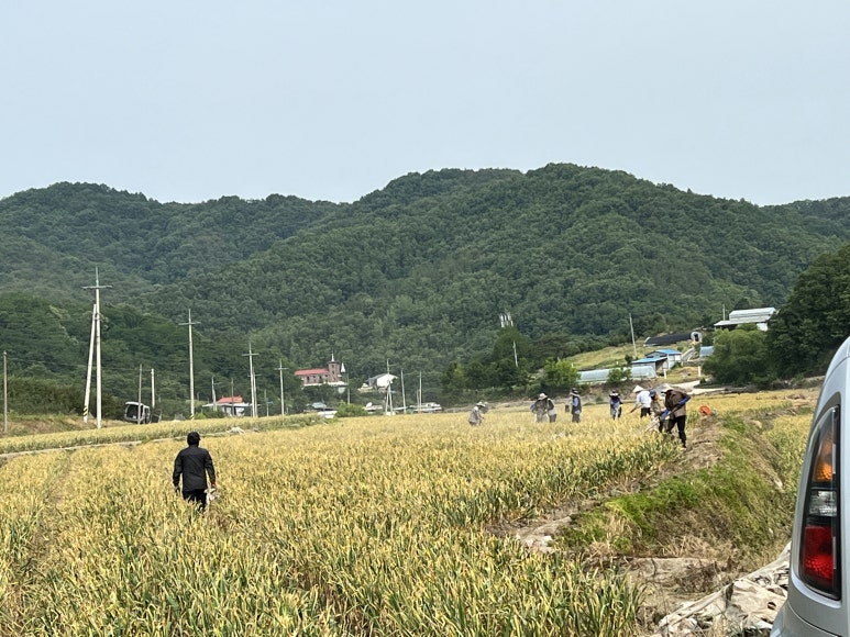 형주농원 이미지