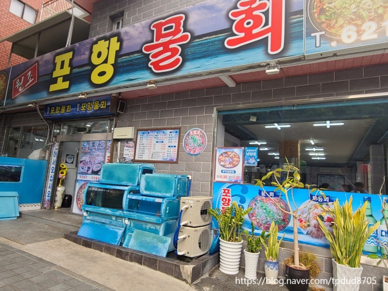 원조포항물횟집 이미지