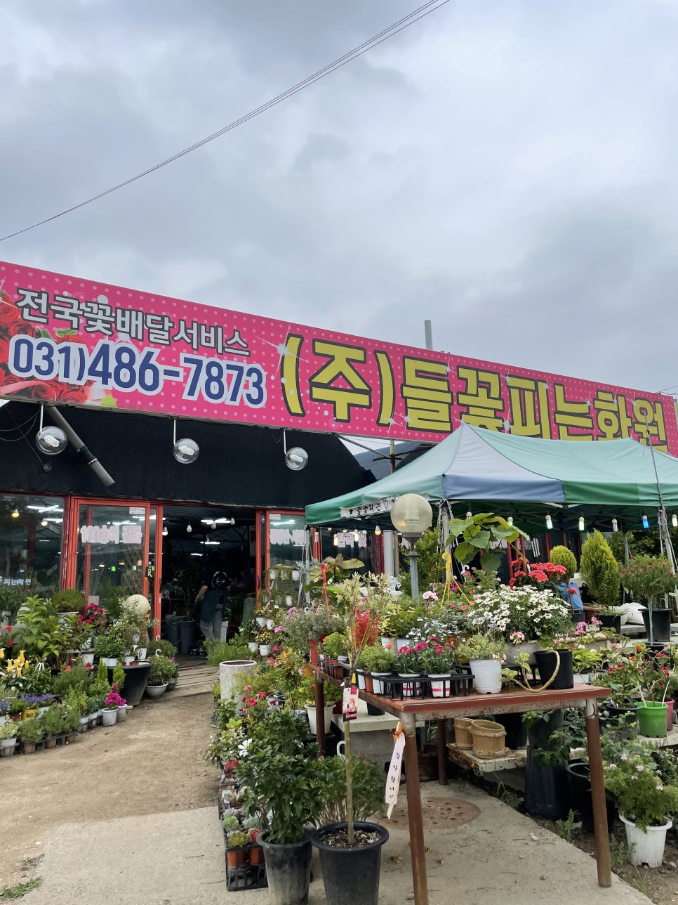 들꽃피는화원 이미지