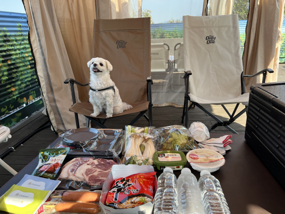 보꼬티제주 사진 2