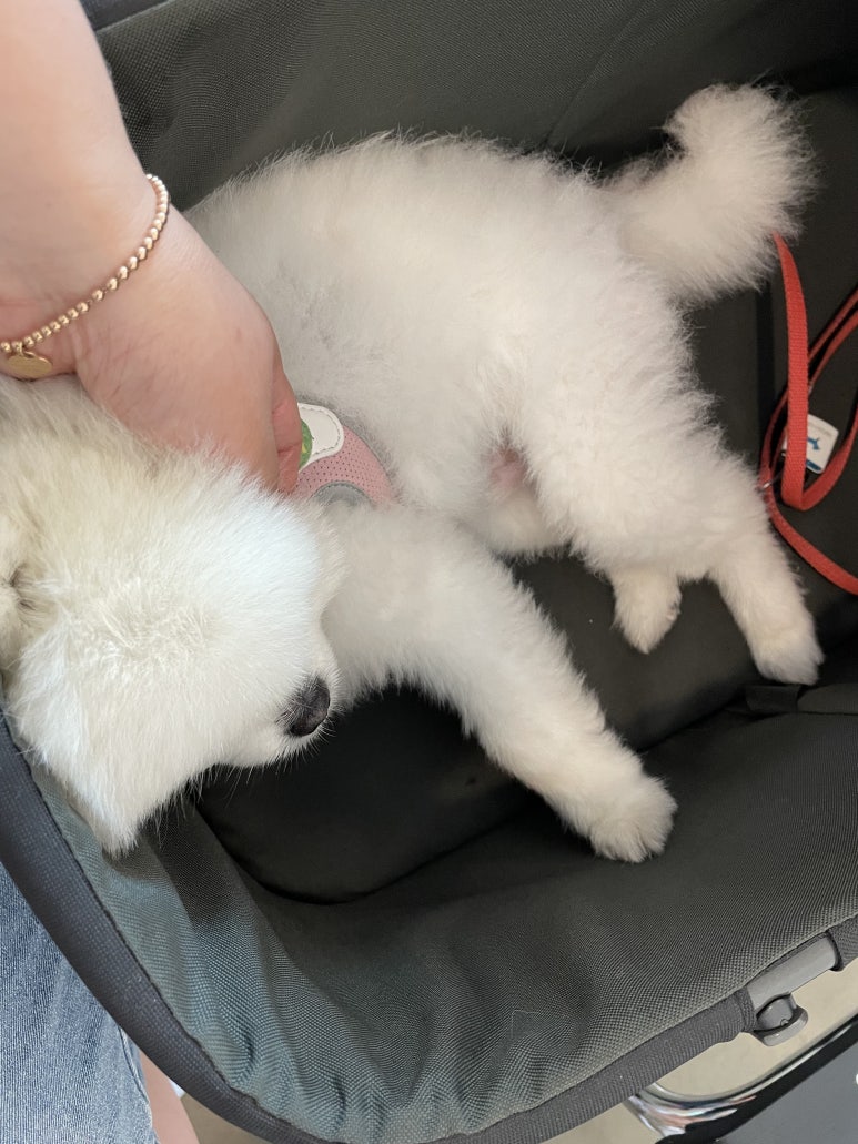 카페오오디 이미지