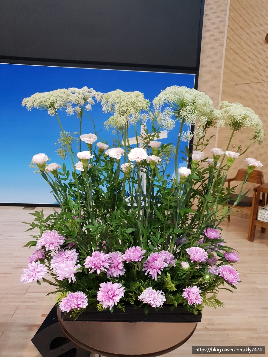 푸른꽃방 이미지