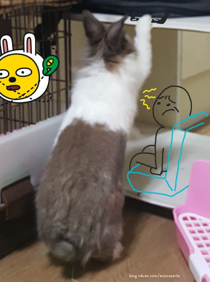 에클레시아의아침 이미지