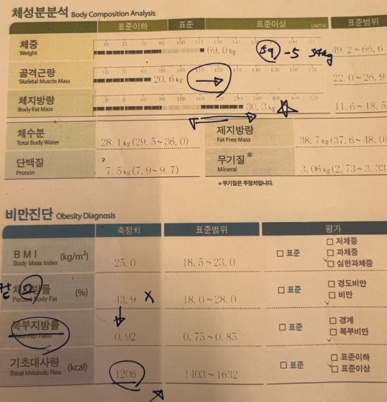 시크릿피티스튜디오 이미지