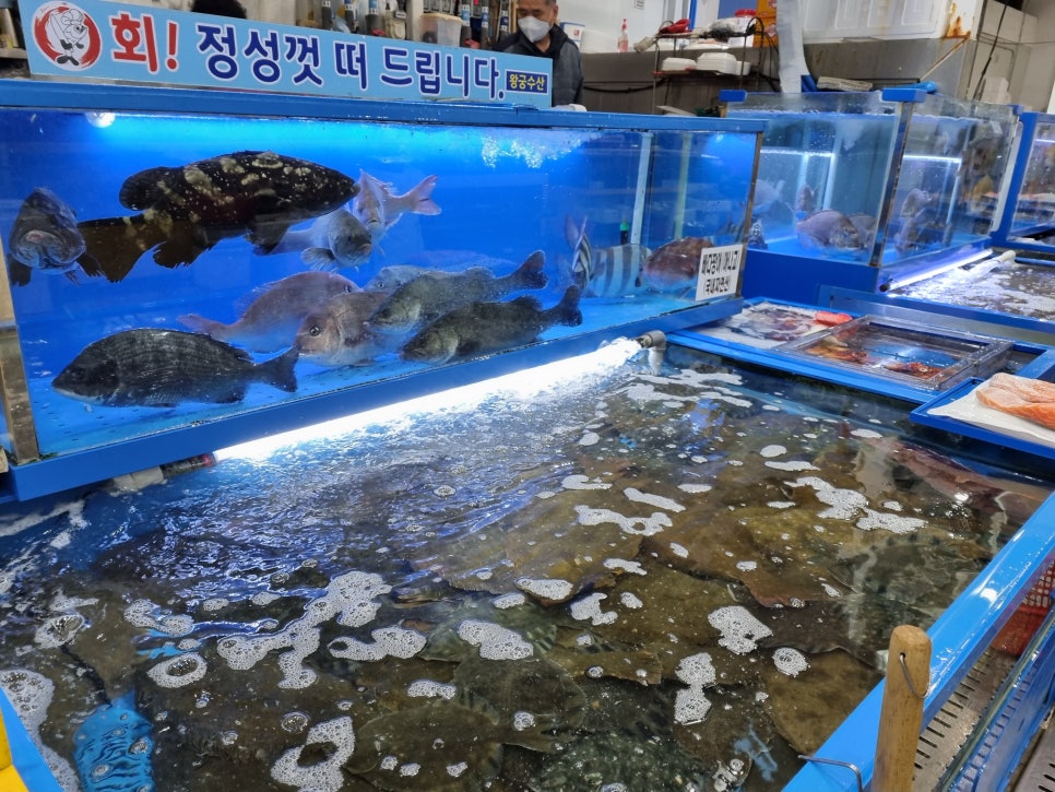왕궁횟집 이미지