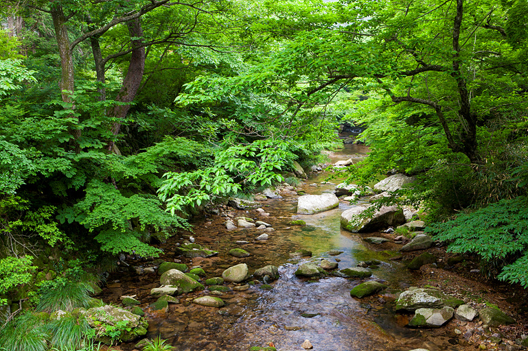라온밸리캠핑장 이미지