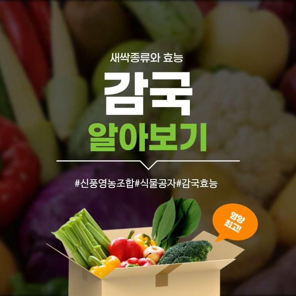 신풍영농조합법인 이미지