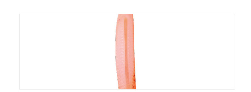 낚시프라자 이미지