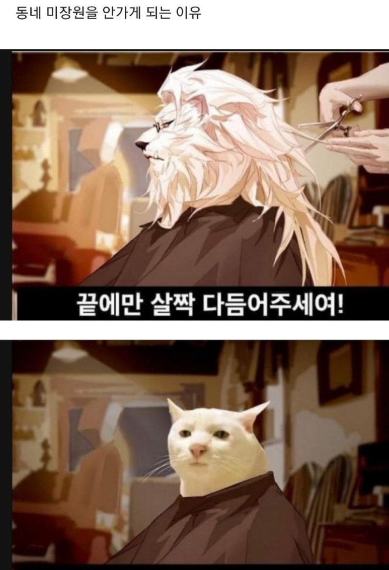 동네미용실 이미지