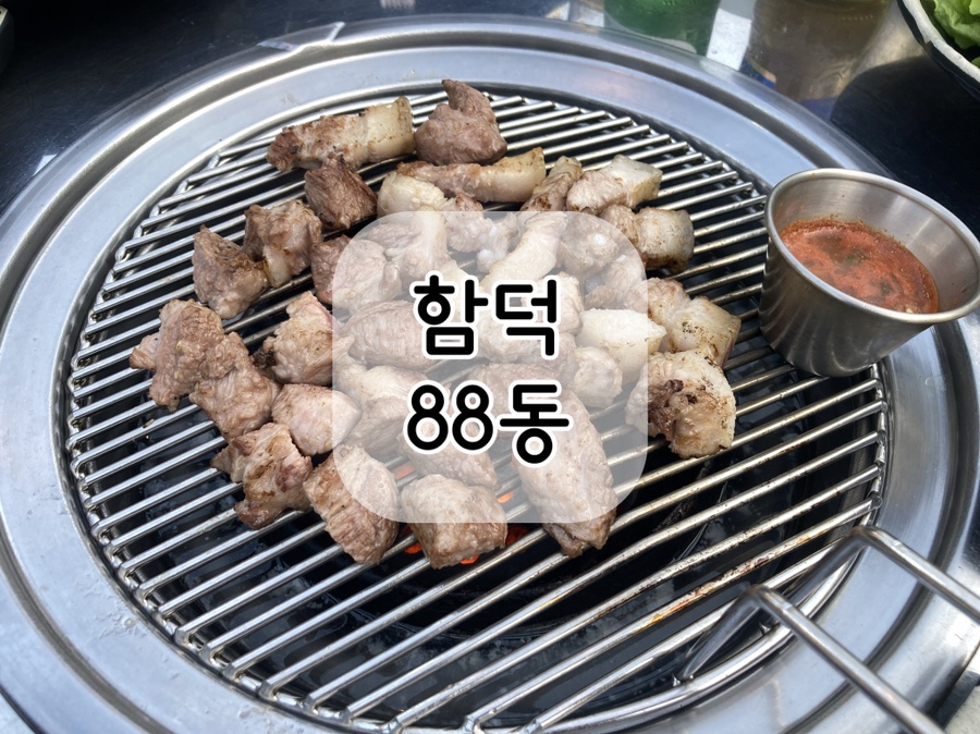 함덕88동 이미지