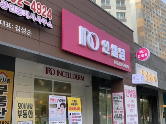 인셀덤다온 이미지
