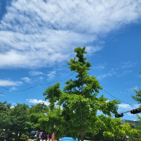 오씨네 술집 part 2 이미지