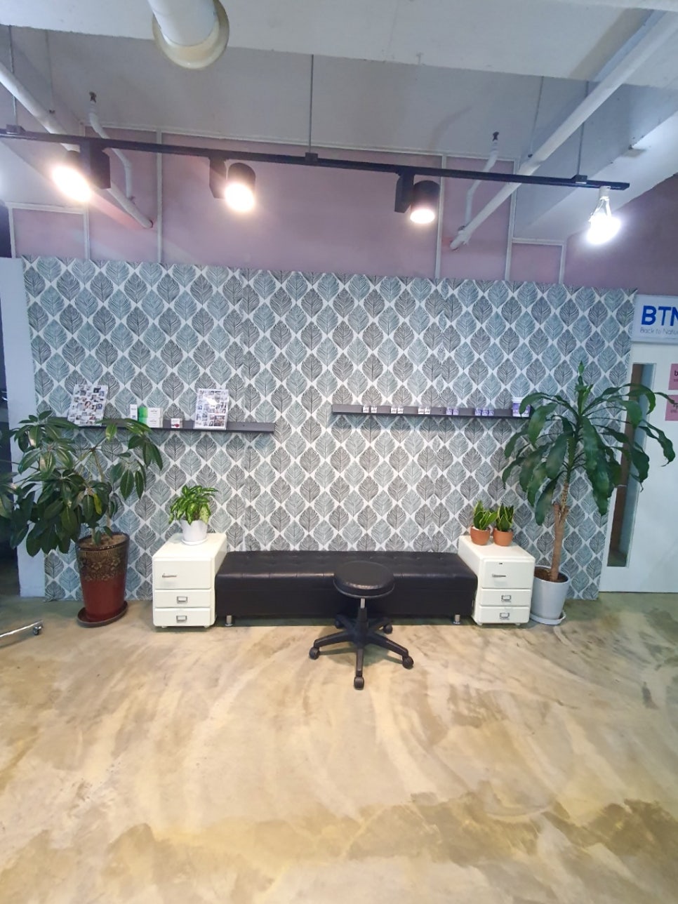 비티엔스타일 이미지