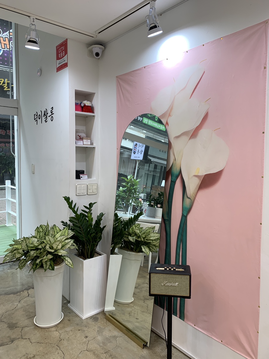 쌀롱이츠 이미지