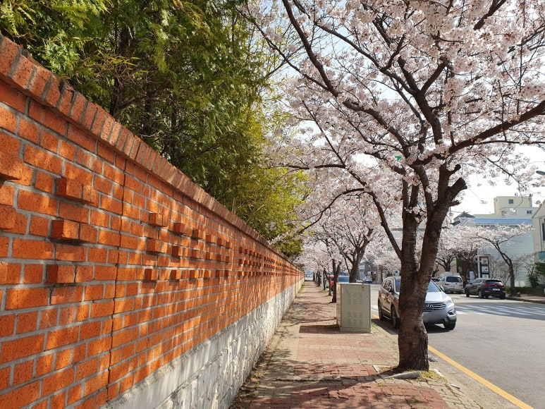 커피여행아메리카노 이미지