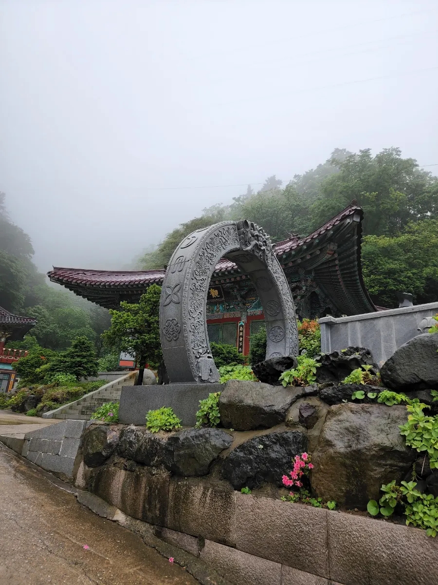 도동이네 집밥 이미지