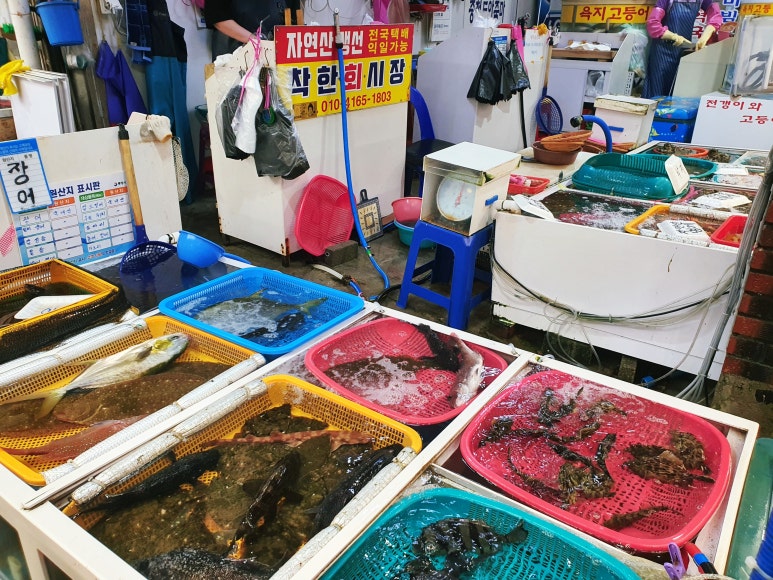 어뮤징스토리 이미지
