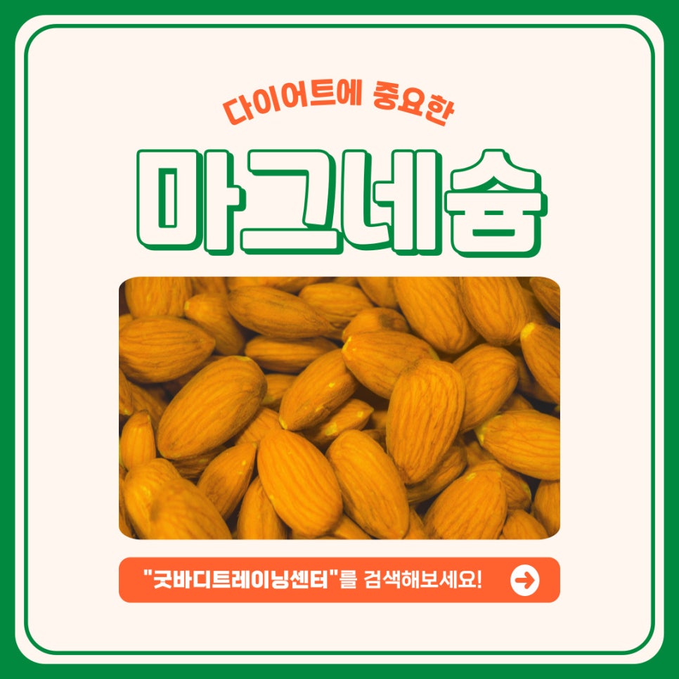 굿바디트레이닝 이미지