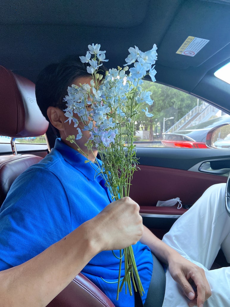 이딜리크 이미지