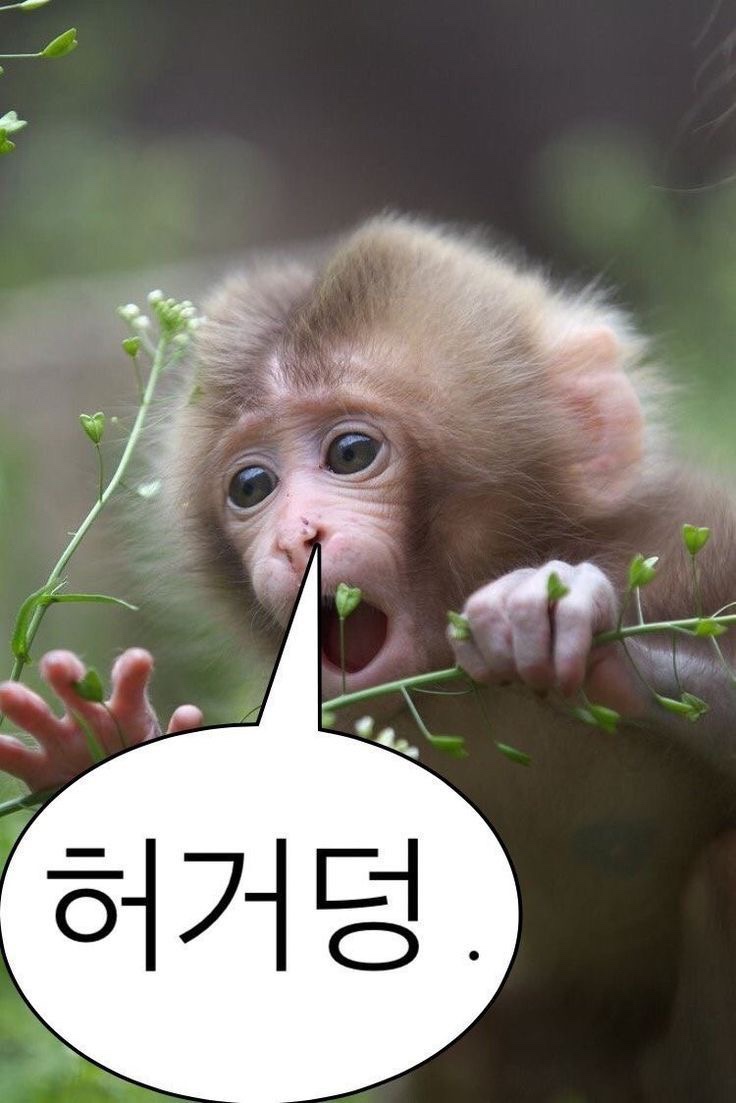 육삼 이미지