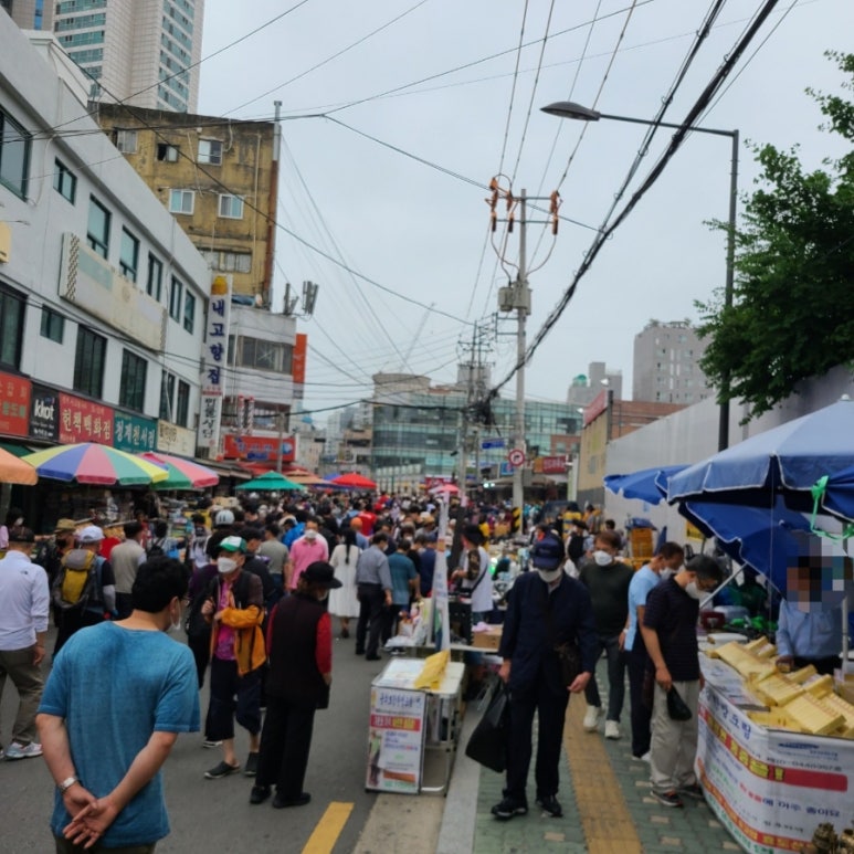 깔롱구제 이미지