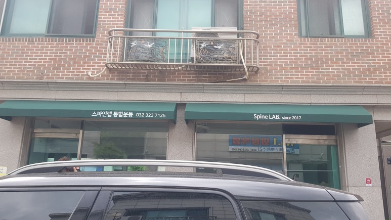 스파인랩 이미지