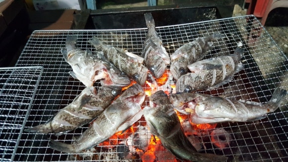 테라스의아침펜션 이미지
