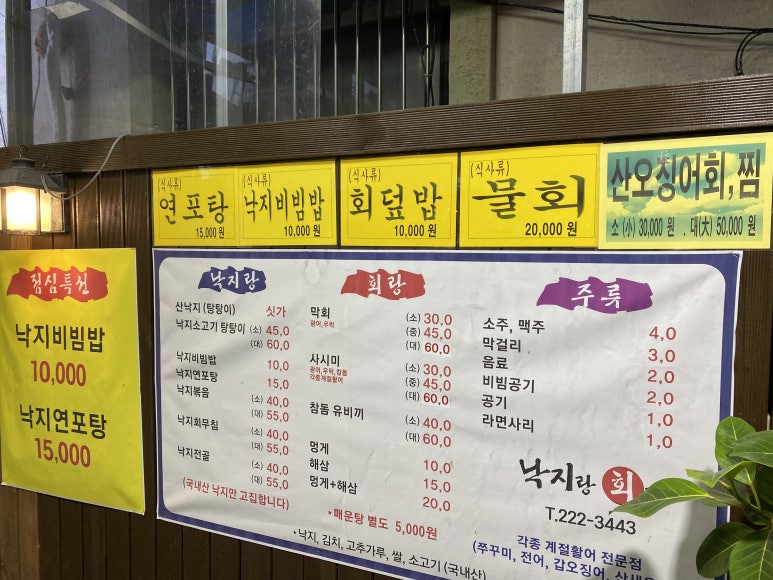 낙지랑회랑 이미지