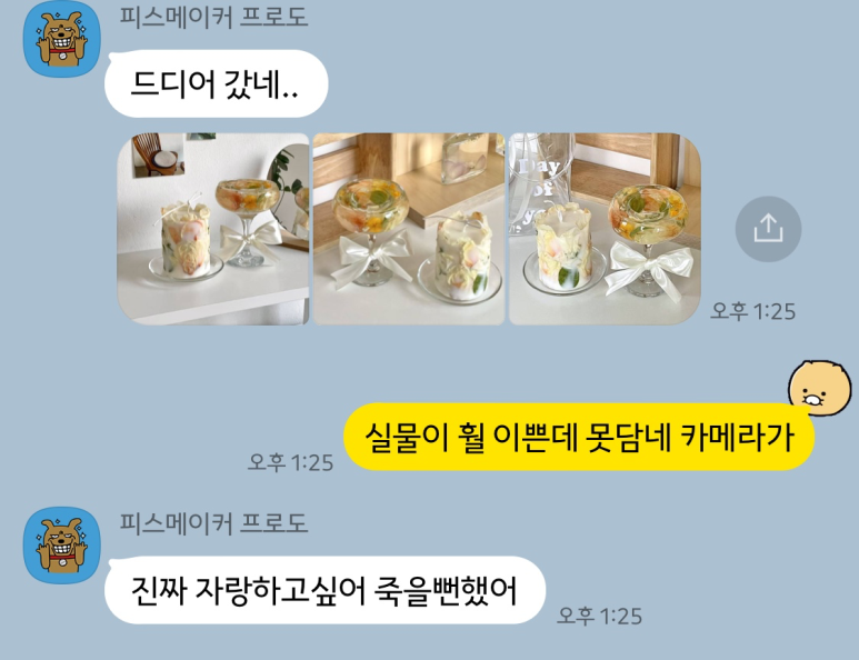 데이오브유 이미지