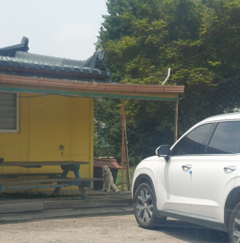 나루터돼지김치찌개 이미지