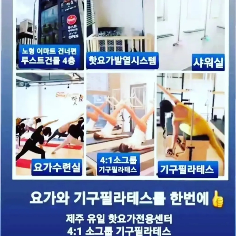 핫필라스 이미지