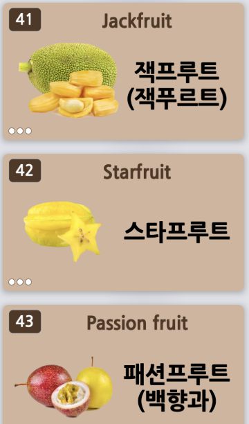 푸르트61 이미지