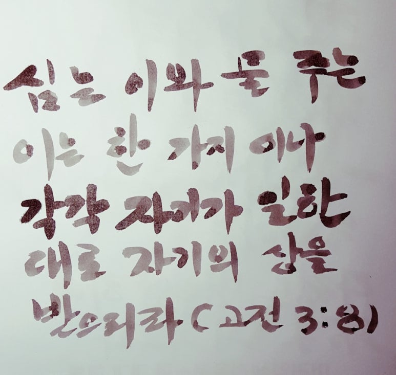 숙성중 이미지