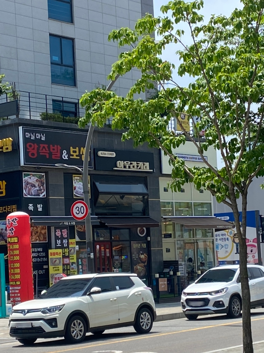 아우라카레 이미지