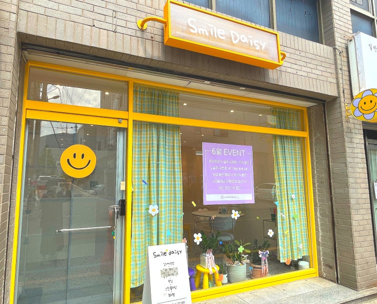 스마일데이지(Smile Daisy) 이미지