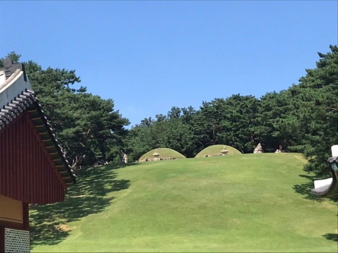 강릉헬스 이미지