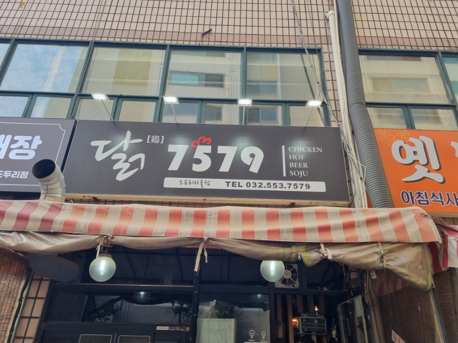 닭7579 이미지