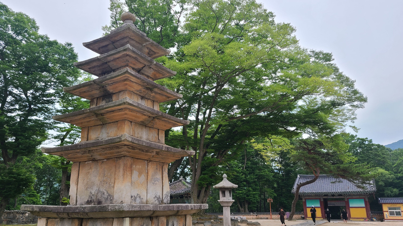 봉평산골메밀막국수 이미지