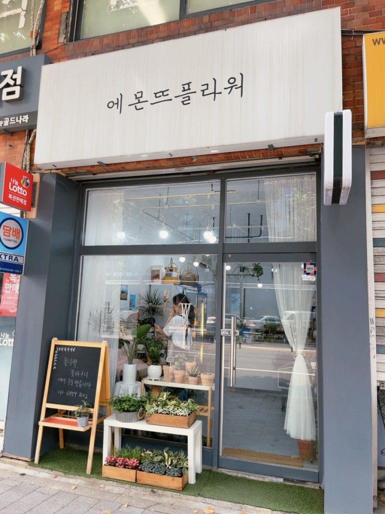 에몬뜨플라워 이미지