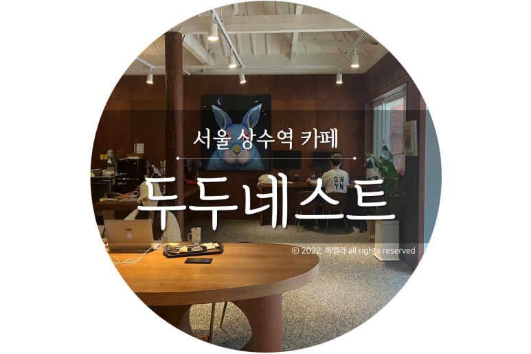 두두네스트 이미지