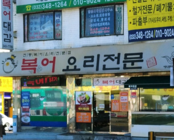 복어대감 이미지