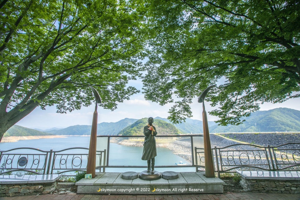 처녀상회 이미지