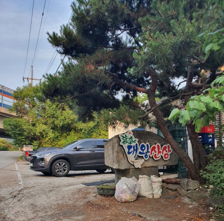 대왕산삼백숙본가 이미지