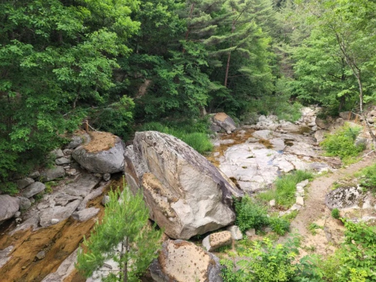국립황정산자연휴양림캠핑장 이미지