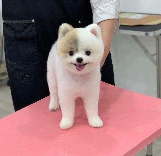 이가미용실 이미지