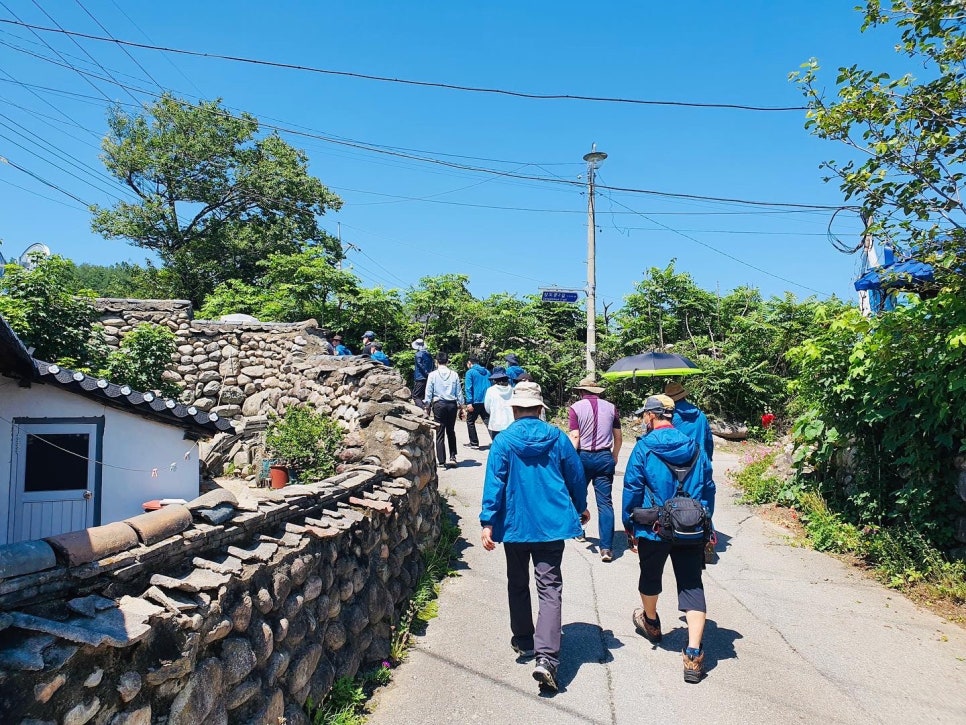 강원도협동조합감자여행 이미지